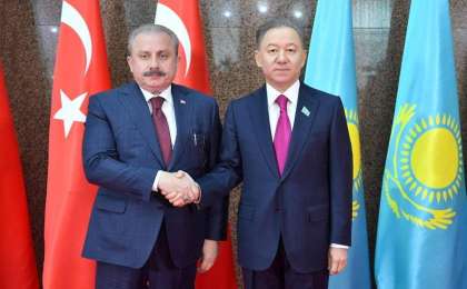 尼格马图林会见土耳其大国民议会议长