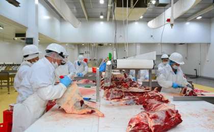 阿克莫拉州肉类加工厂计划加大对外出口