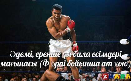 Әдемі, ерекше ұл бала есімдері мағынасы (Ф әрпі бойынша ат қою)