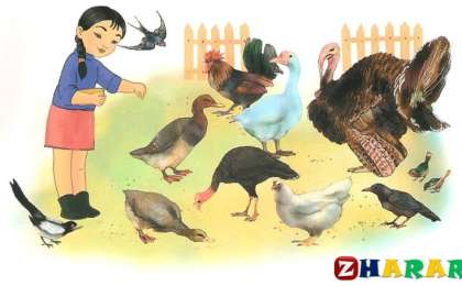 Қазақ тілінен сабақ жоспары: Жем шашамыз №10 (3 сынып, I тоқсан, 1 бөлім)