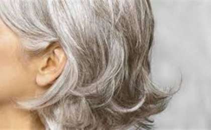 Испан ғалымдары шаштың ағарғанын ұзақ өмірдің белгісі деп атады