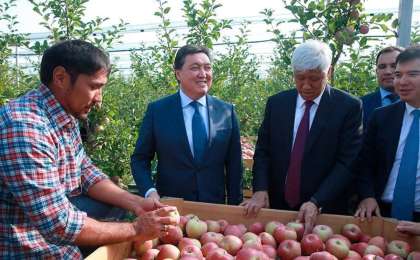 政府总理前往阿拉木图州进行工作视察