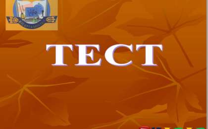 Презентация (слайд): Информатика | PowerPoint туралы тест