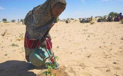 联合国秘书长敦促各国加强国际合作应对复杂国际挑战