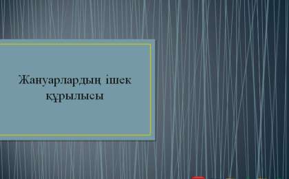 Презентация (слайд): Жануарлардың ішек құрылысы