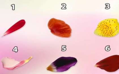 Психологиялық тест: Қай гүлдің қауызын бірінші таныдыңыз? (Жауабыңыз сіз туралы сыр айтады)