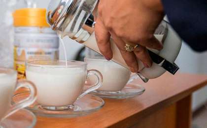 哈萨克斯坦计划对中国出口骆驼奶粉