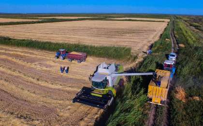 КЫЗЫЛОРДИНСКАЯ ОБЛАСТЬ: ДЕКХАНЕ ЗАВЕРШАТ УБОРКУ РИСА ДО 5 ОКТЯБРЯ