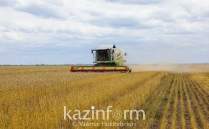 首任总统：哈萨克斯坦正重点发展农业领域