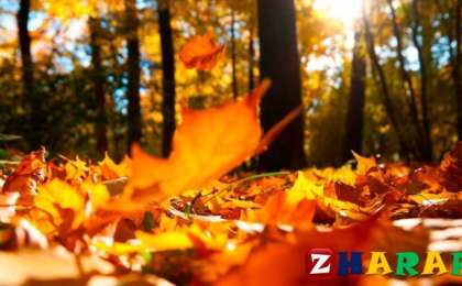 Қазақ тілінен сабақ жоспары: Күз мезгілі (3 сынып, II тоқсан, 3 бөлім)