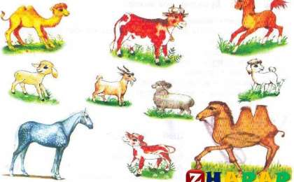 Қазақ тілінен сабақ жоспары: Жанды табиғат туралы ақпарат жинау Үй жануарлары №3 сабақ (3 сынып, I тоқсан, 1 бөлім)