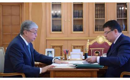 托卡耶夫总统接见能源部部长