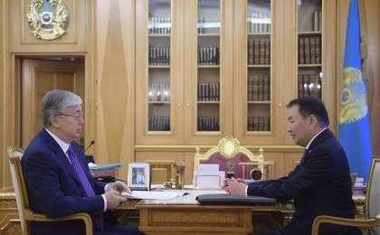 托卡耶夫总统接见宪法委员会主席