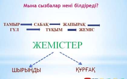 Презентация (слайд): ЖЕМІСТЕР