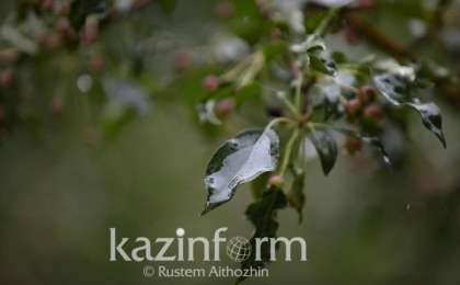 天气：周末全国大部分地区将迎来降雨
