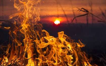 北哈州温度将直达33℃ 林火危险性增高