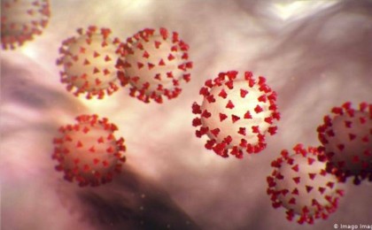 Қандай қан тобы COVID-19 инфекциясына қарсы тұра алатыны белгілі болды - Қазақстан жаңалықтары