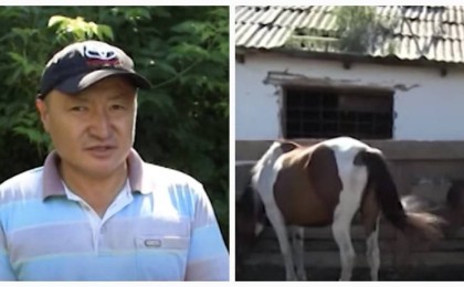 ШҚО тұрғындары жылқыға бөлінетін субсидияның аздығын айтып шағымдануда - Қазақстан жаңалықтары