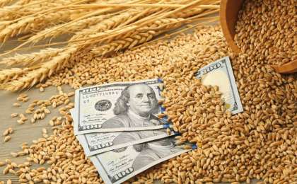 Ресейде астық үзілістері басталды