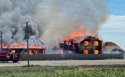 Нұр-Сұлтанға жақын демалыс базасы өртке оранды - Қазақстан жаңалықтары