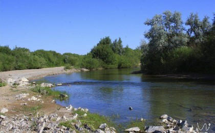 «Аягөзде эколог та жоқ»: Ринат Зайытов өзен жағдайын бақылайтын комиссия құруды ұсынды