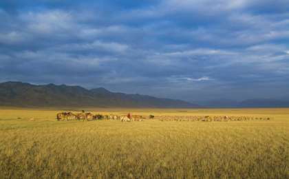 Қазақстан Ресей депутатының "жерді сыйға бердік" деген сөзіне қарсы нота жолдады