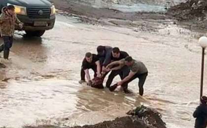 Ақтөбеде арыққа құлап, ағып кете жаздаған қызды құтқарғандар марапатталды