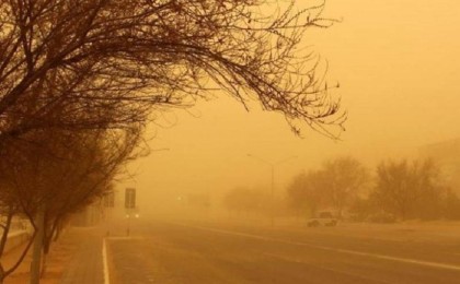 42 градусқа дейінгі ыстық, шаңды дауыл: 9 өңірде ескерту жарияланды