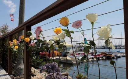 美国加州游船深夜起火致25人死亡至少9人失踪