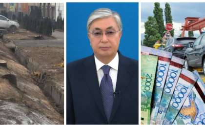 13 ағаш VS 40 мың адам: Тоқаев халықтың үні болған Петицияға жауап бере ме?