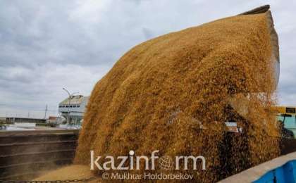 农业部：截至目前哈萨克斯坦粮食收获量超550万吨