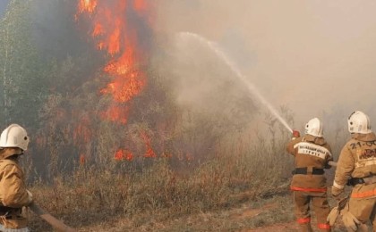 Абай облысында орман өртенді: Шипажайға қауіп төнді