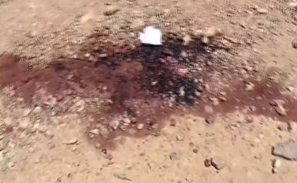 Оқиға орнынан қан іздері табылды: Апорт қасынан өлі табылған ер адамның кім екені анықталды