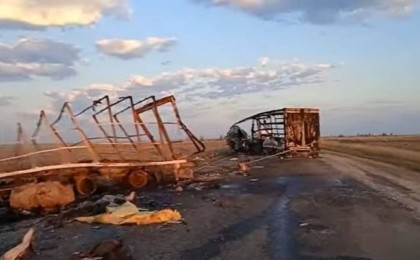 БҚО-да жол апатынан екі адам мен 39 жылқы тірідей жанып кетті (видео)