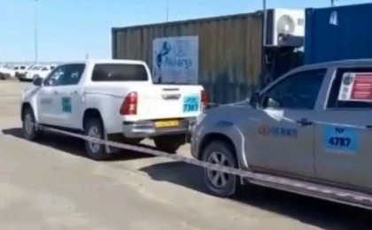 Теңізде құстар ұя салған көліктердің жұмысы уақытша тоқтатылды