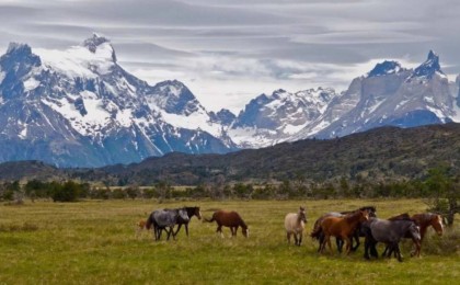 Қазақстанда миллиондаған гектар пайдаланылмайтын жер қолданысқа беріледі
