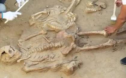 Қазақ халқының генетикалық тарихы 7 мың жылға тереңдеді — жаңа зерттеу