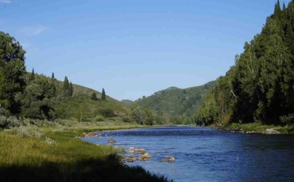 ШҚО-да жоғалып кеткен жасөспірім өлі күйінде табылды