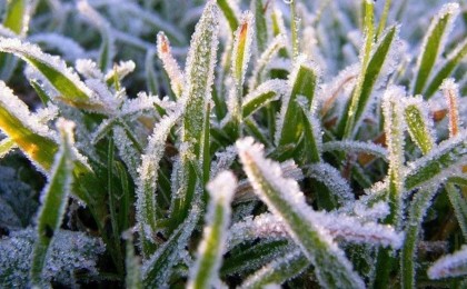 Үсік жүреді: Еліміздің бірқатар өңірінде дауылды ескерту жарияланды