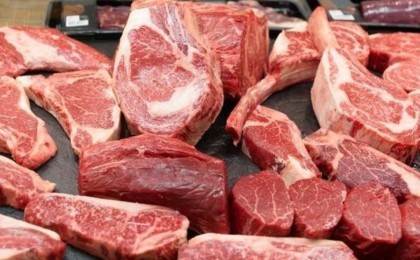 Қырғызстаннан құтырған малдың еті әкелінді: Ақпарат қазақстандықтарды шошытты