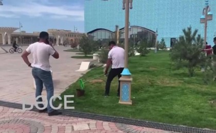 Түркістанда көгалды жасылға бояп жатқандар желіні шулатты (видео)