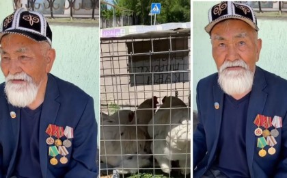 "Жұртта қалған халықпыз ғой": Көшеде тауық сатып отырған 97 жастағы соғыс ардагерінің видеосы желіні шулатты