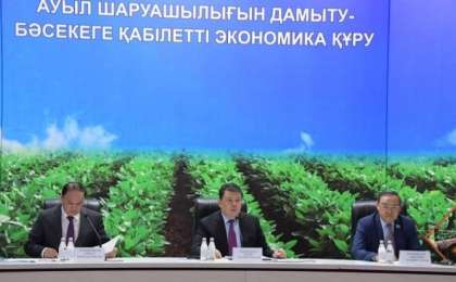 Ербол Қарашөкеев: келер бес жылда 582 инвестициялық жоба іске асады