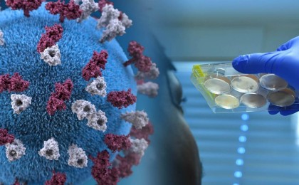 Англиялық ғалым: Коронавирусты жеңу мүмкін емес