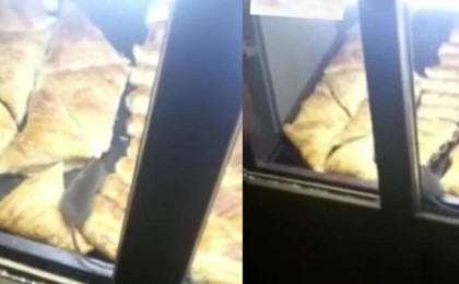 "Саяхаттан самса жемеңдер": Алматыда самсаның үстінде жүрген тышқанға байланысты тексеріс басталды (видео)