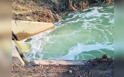 Кеннен шыққан жасыл су қазақстандықтарды шошытты