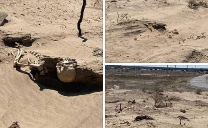 Қызылордада айдаладан адам сүйектері табылды