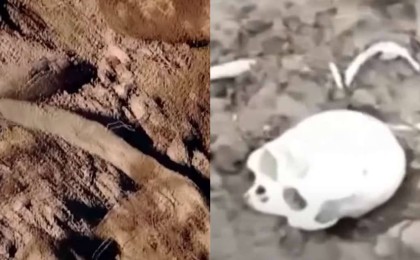 Алматы облысында перзентхана маңынан табылған адам сүйектері тұрғындардың үрейін тудырды