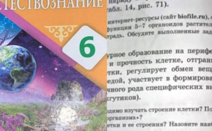 ҚР Білім министрлігі алтыншы сынып оқулығында порно сайттарға сілтеме бар екенін анықтады