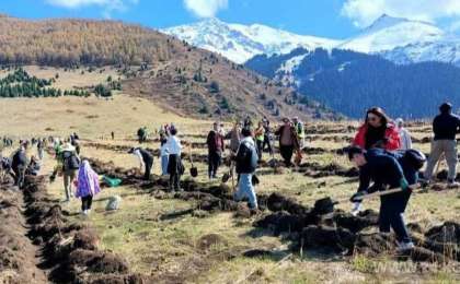 Қырғыз азаматы әкесіне арнап 14 мың түп ағаш отырғызды